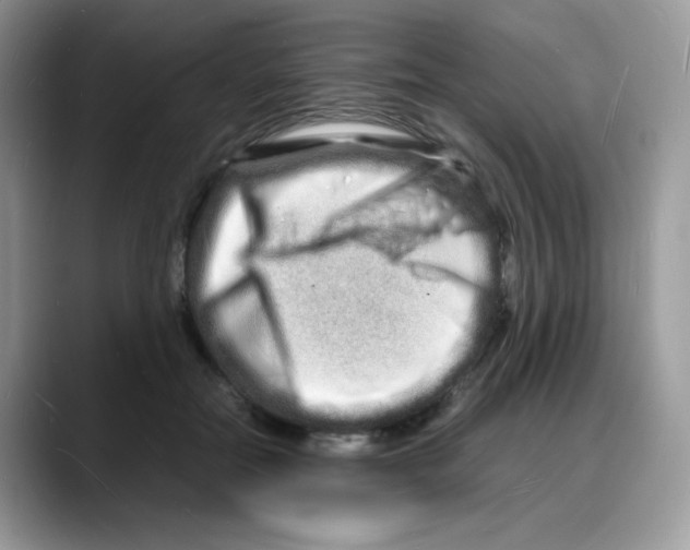 X0000088130554200706111409