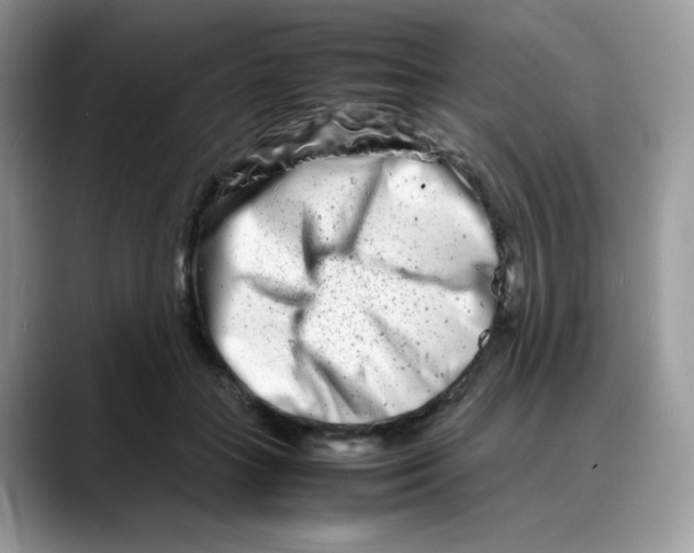 X0000088130555200706111409