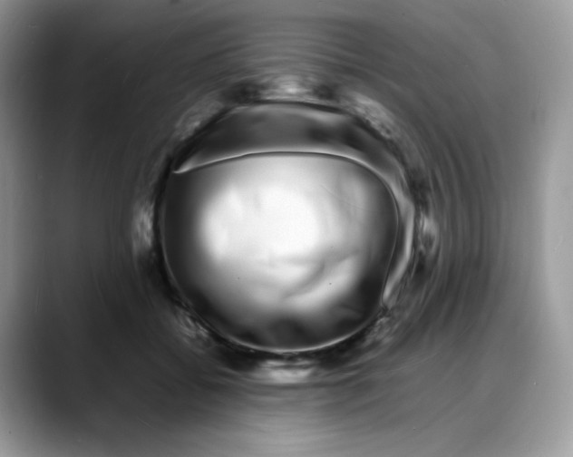 X0000088130556200706111409