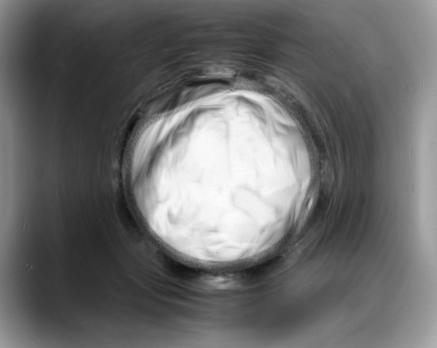 X0000088130557200706111409