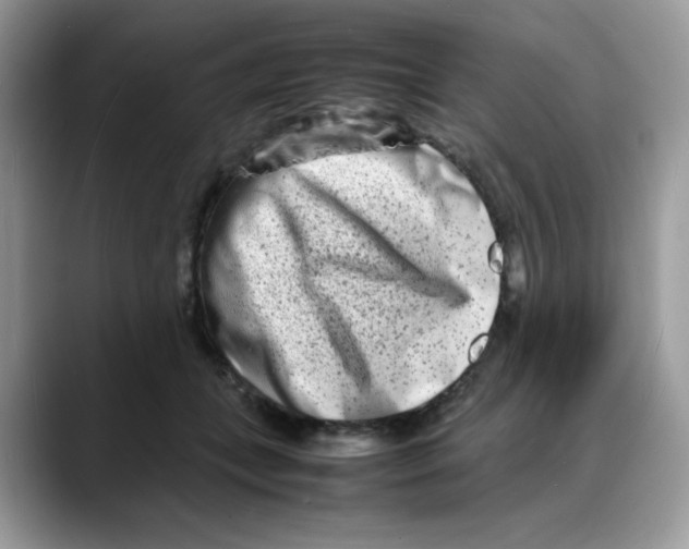 X0000088130559200706111409