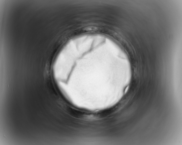 X0000088130561200706111409