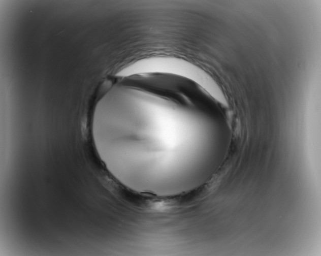 X0000088130564200706111409