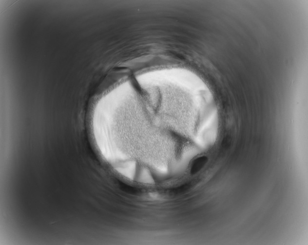 X0000088130565200706111409