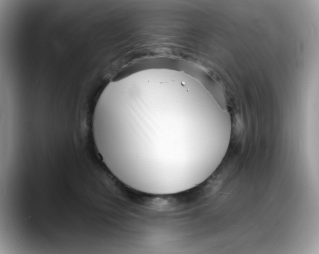 X0000088130566200706111409