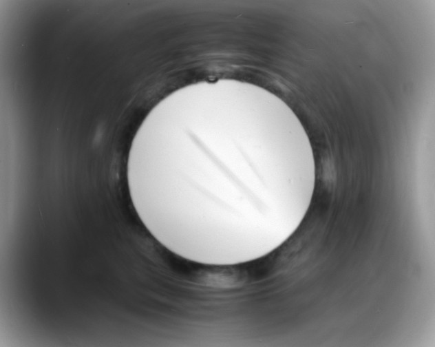 X0000088130567200706111409