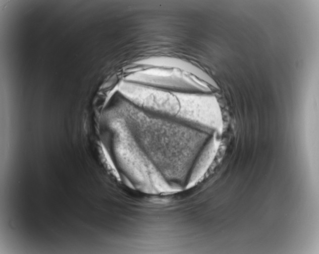 X0000088130570200706111409