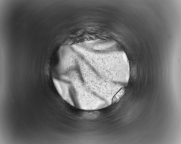 X0000088130571200706111409