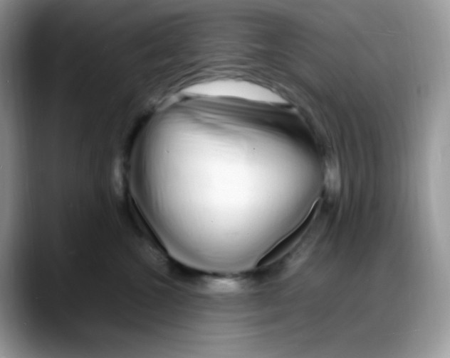 X0000088130572200706111409