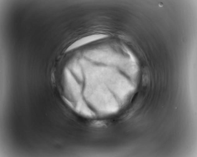 X0000088130573200706111409