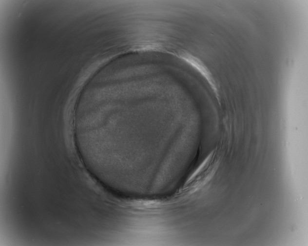 X0000088130577200706111409