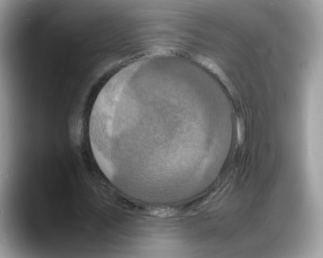 X0000088130579200706111409