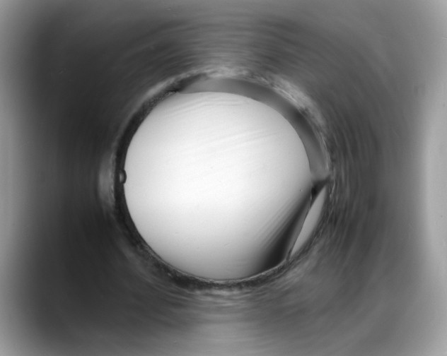 X0000088130580200706111409