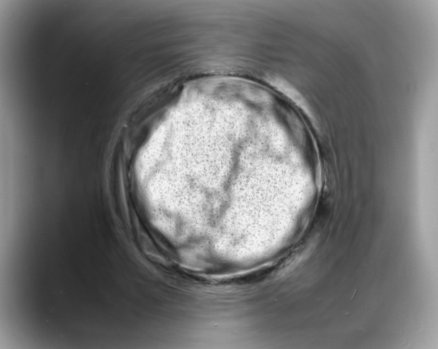 X0000088130581200706111409