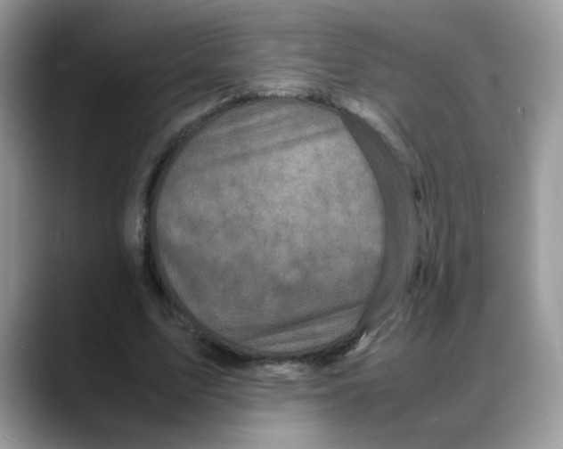 X0000088130583200706111409