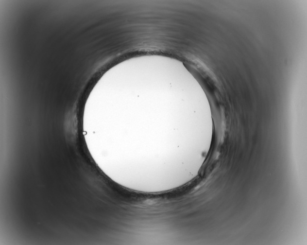 X0000088130584200706111409