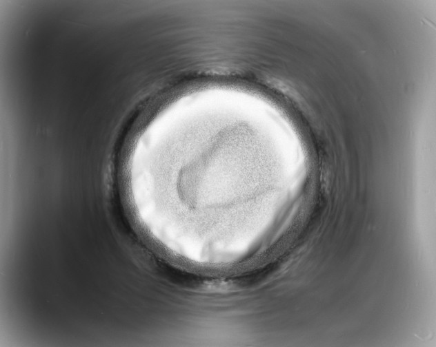 X0000088130591200706111409