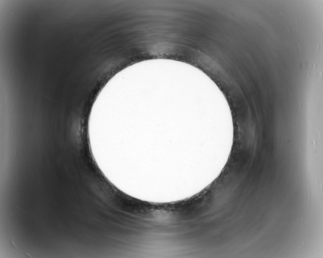 X0000088130592200706111409