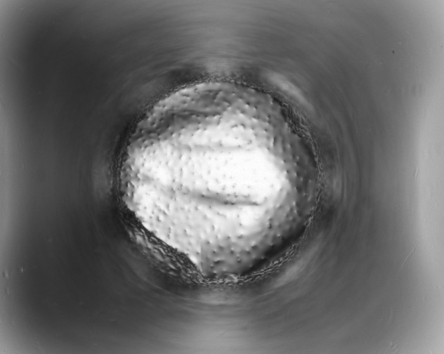 X0000088130593200706111409