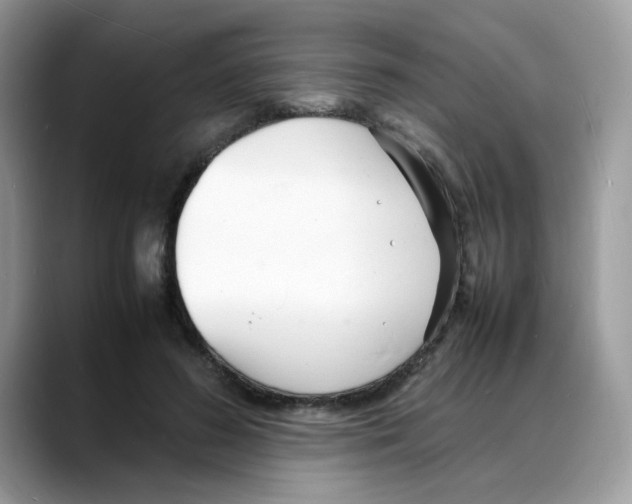 X0000088130596200706111409