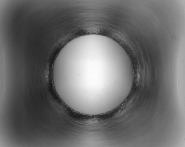 X0000088130600200706111409