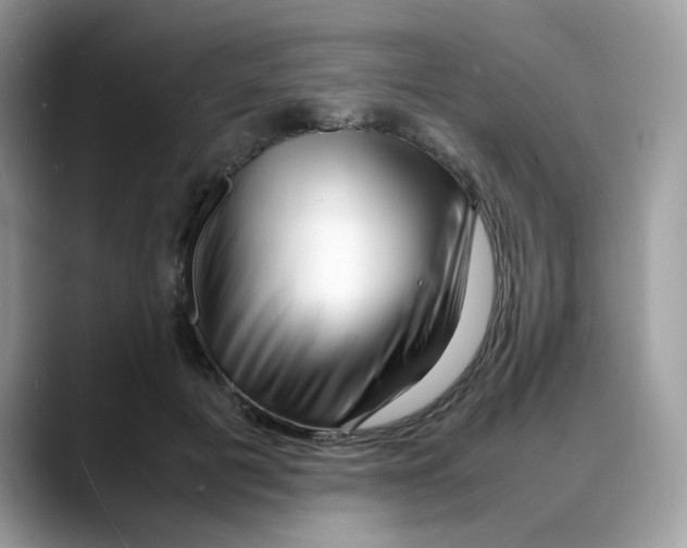 X0000088130601200706111408