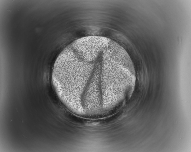 X0000088130602200706111408