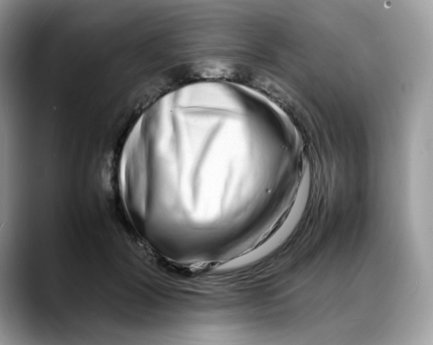 X0000088130604200706111408