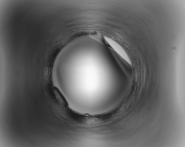 X0000088130605200706111408