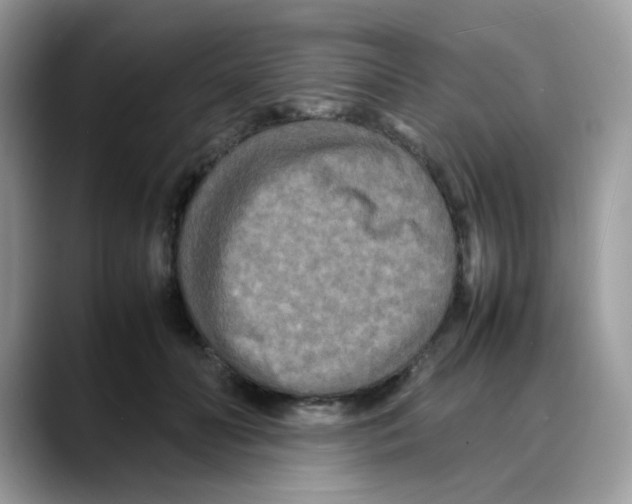 X0000088130606200706111408