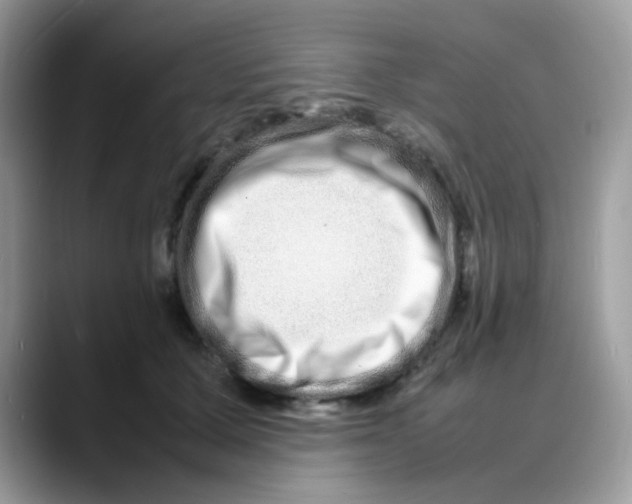 X0000088130607200706111408