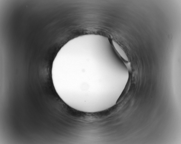 X0000088130608200706111408