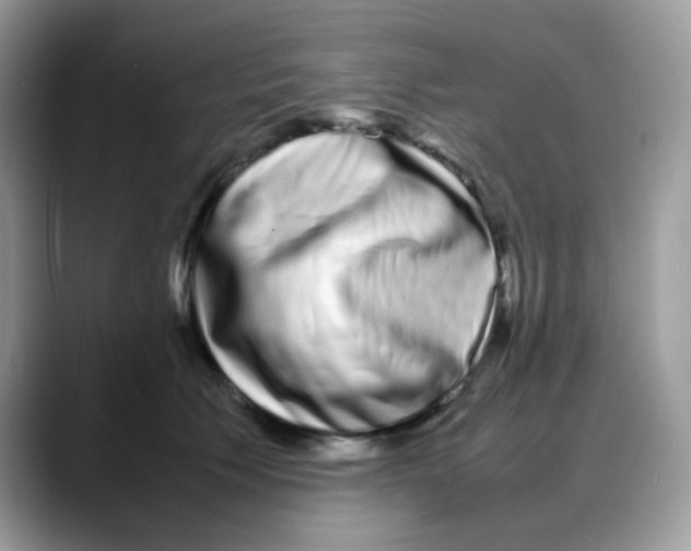 X0000088130609200706111408