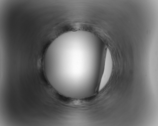 X0000088130611200706111408