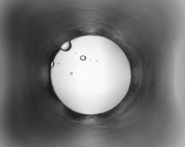 X0000088130612200706111408