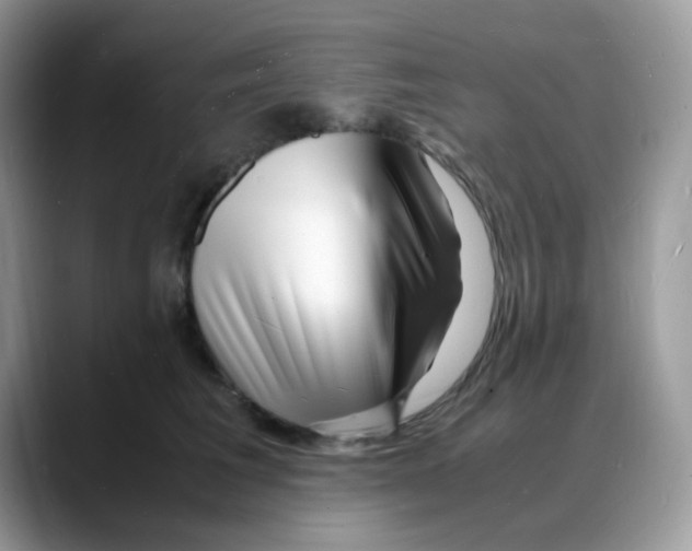 X0000088130613200706111408