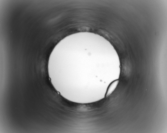 X0000088130616200706111408