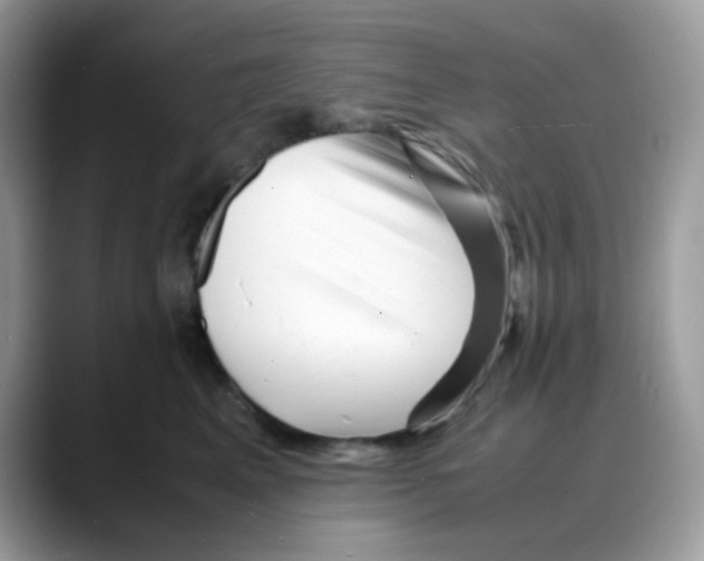 X0000088130617200706111408