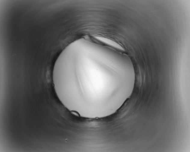 X0000088130620200706111408