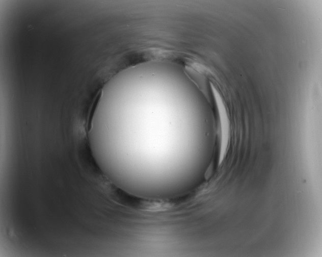 X0000088130621200706111408