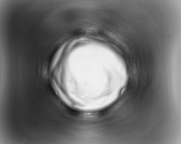 X0000088130622200706111408