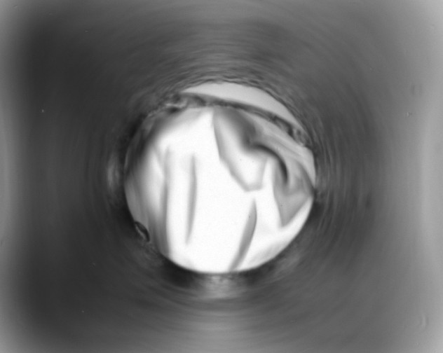 X0000088130623200706111408