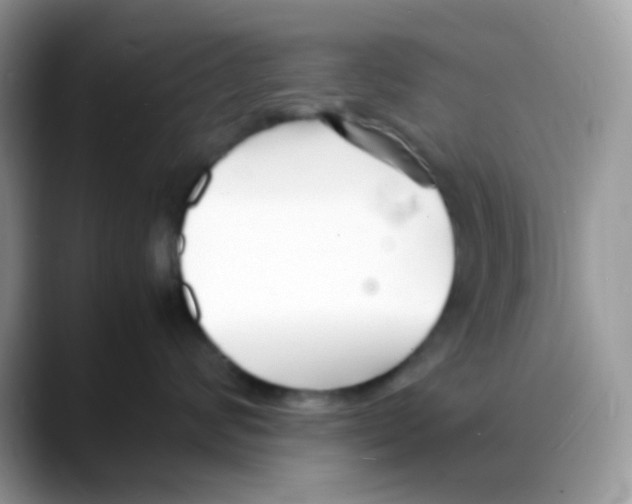 X0000088130624200706111408