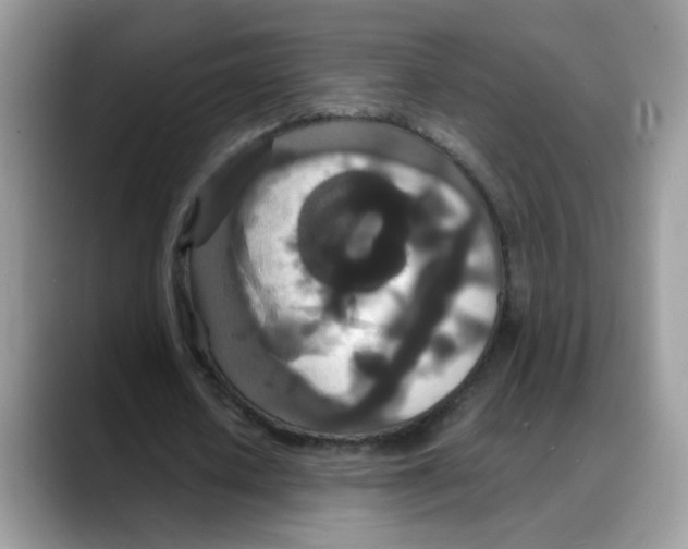 X0000088130626200706111408