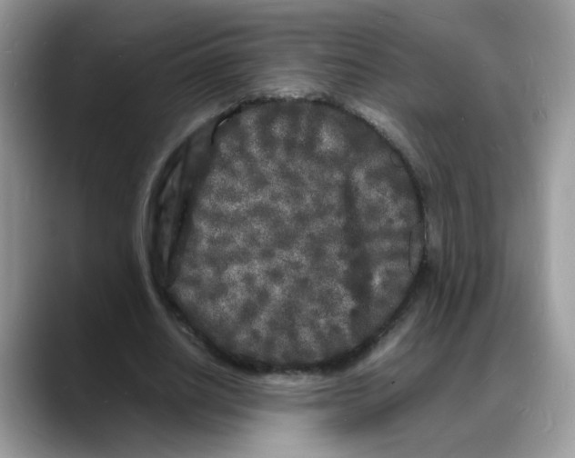 X0000088130630200706111408