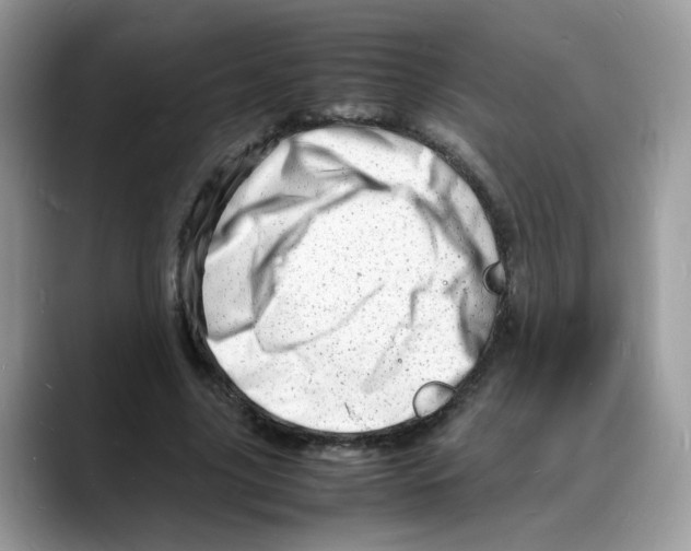 X0000088130635200706111408