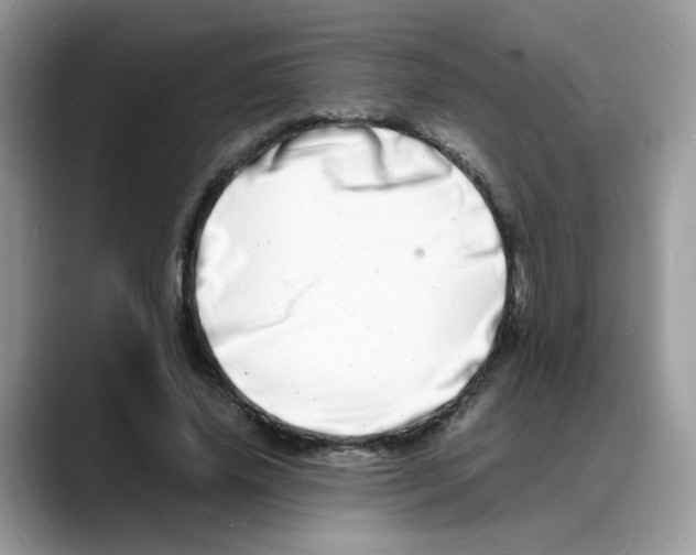 X0000088130636200706111408