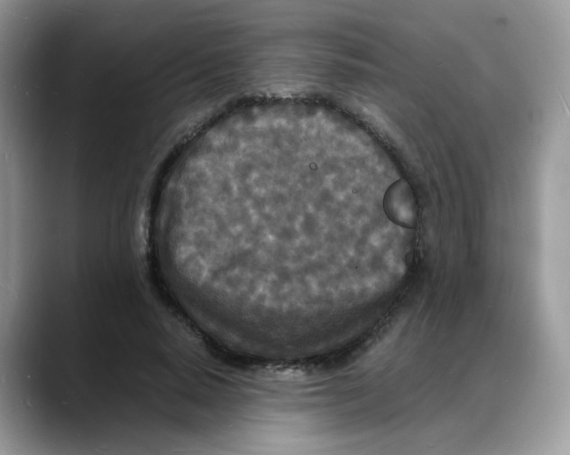 X0000088130640200706111408