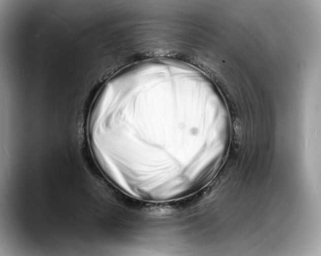 X0000088130642200706111408