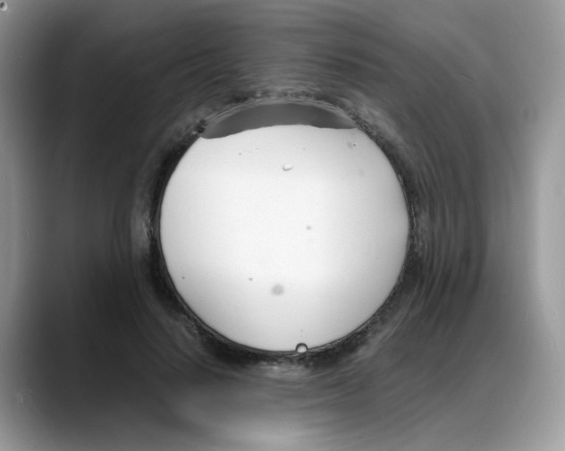 X0000088130644200706111408